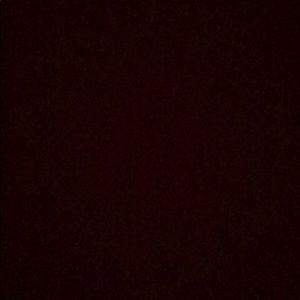 Meet your Posher, Ronnie